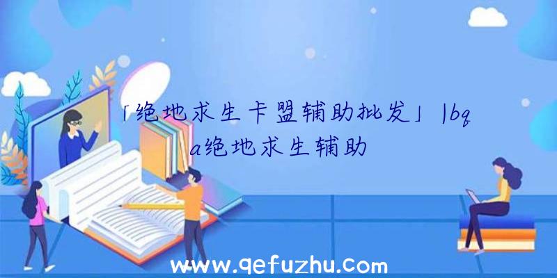 「绝地求生卡盟辅助批发」|bqa绝地求生辅助